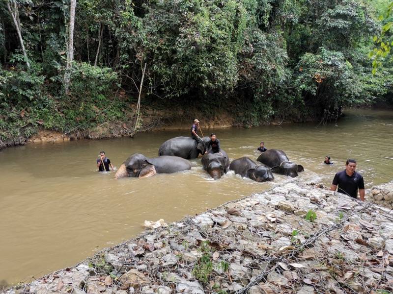 EcoNadi environmental consultancy fieldwork